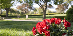 Shalom Memorial Park Flowers